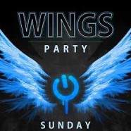 WINGS PARTY